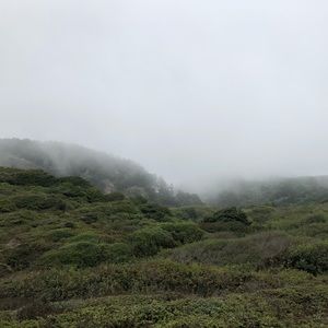 Meet your Posher, Yesenia